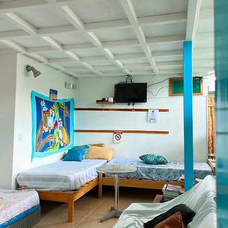 Hostel Sámara Exteriör bild